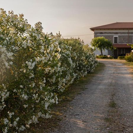 Albanella Agri Charme Tenuta Picilliヴィラ エクステリア 写真