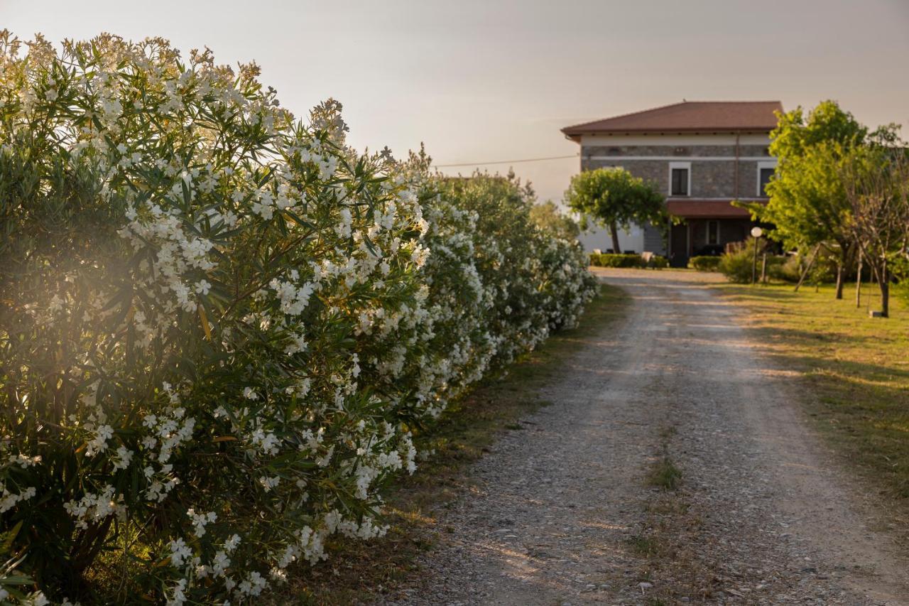 Albanella Agri Charme Tenuta Picilliヴィラ エクステリア 写真